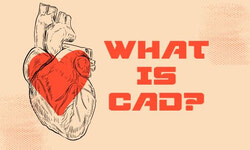 Black and white drawing of a hear with a heart shape over top with text, What is CAD?